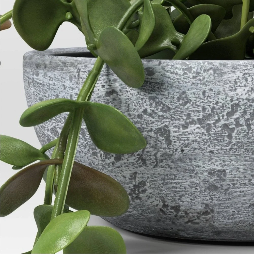 STUDIO MCGEE NWT trailing sedum faux plant -10” - Picture 3 of 6
